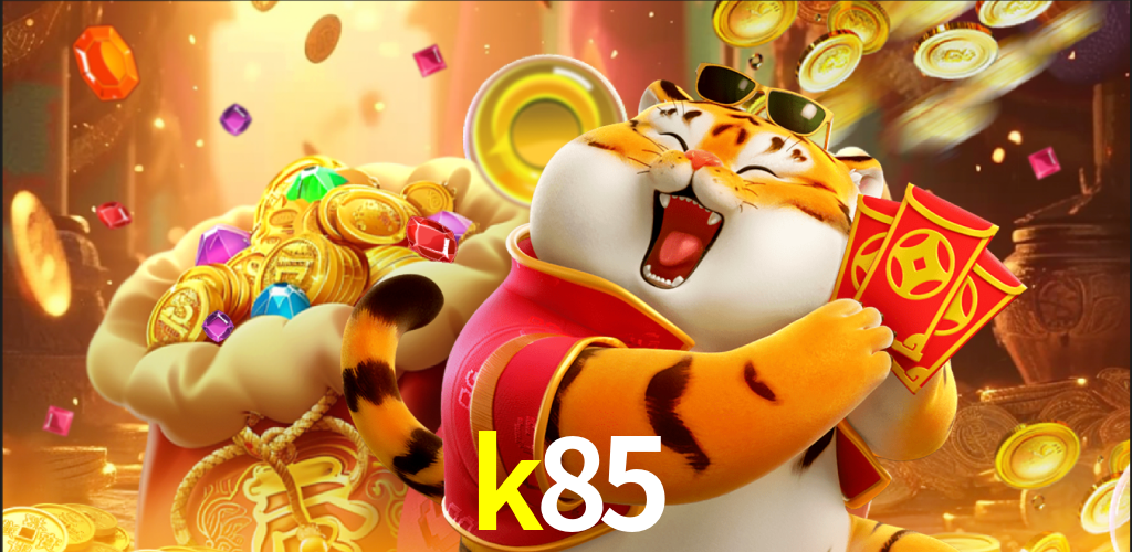 Programa VIP k85