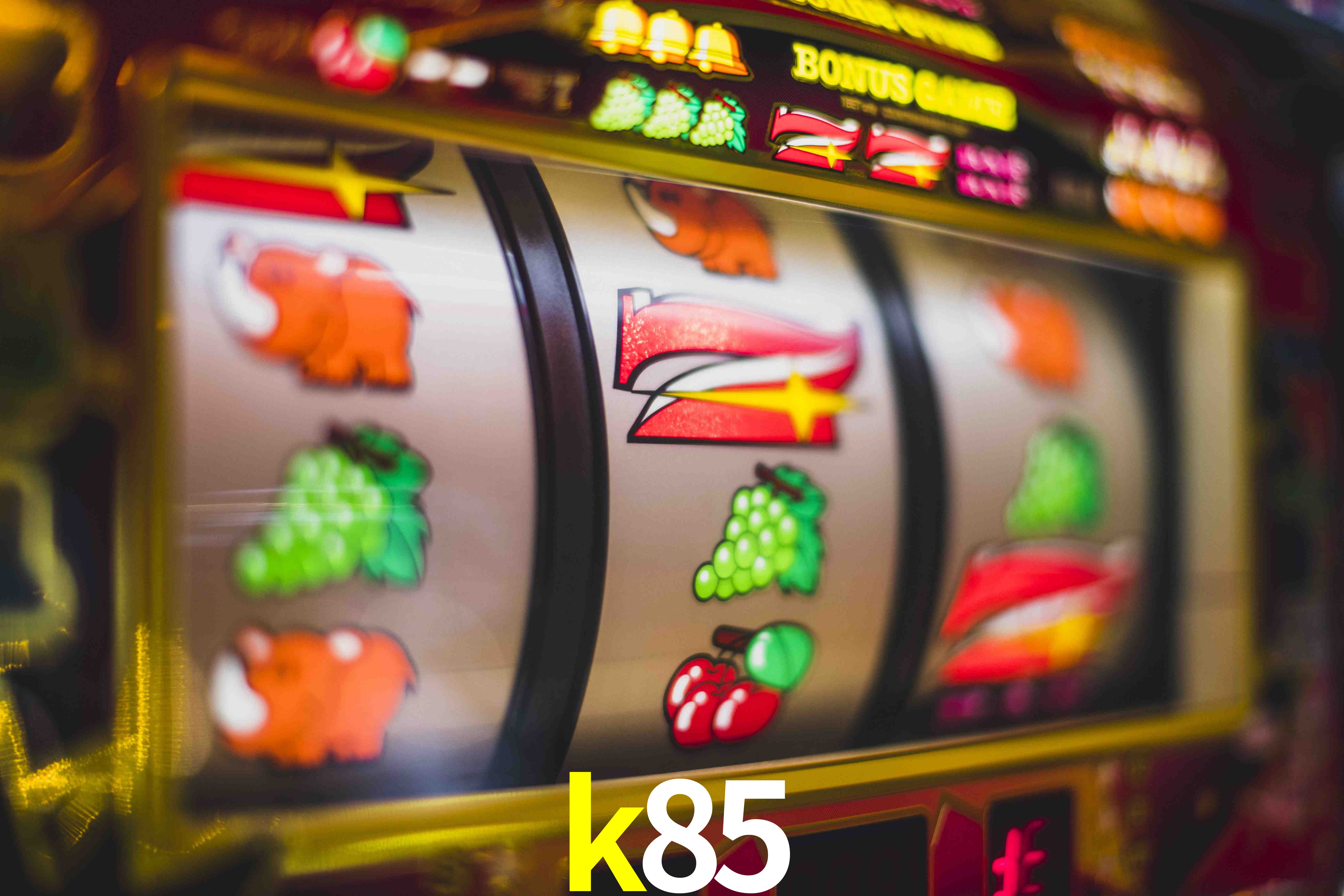 Secure Login k85